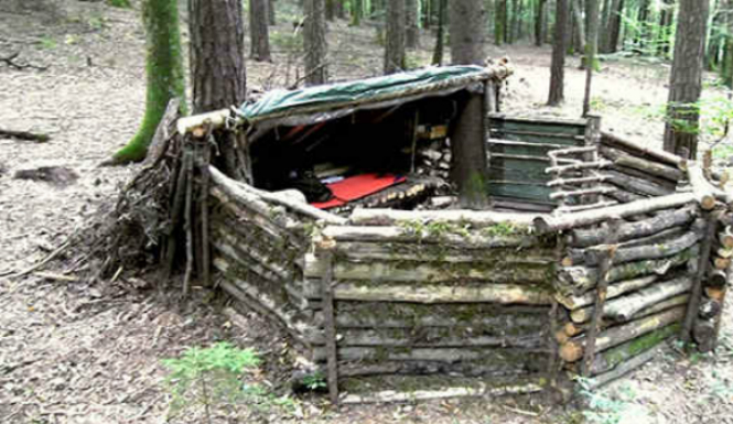 Landsbygdsöverlevnad